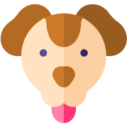 Pet Care